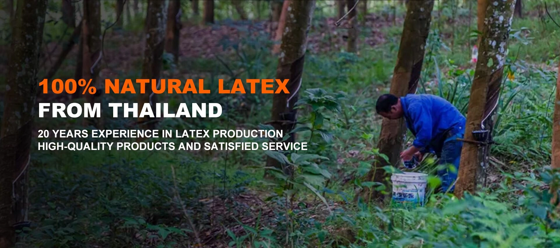 Natural latex mattres mutengesi